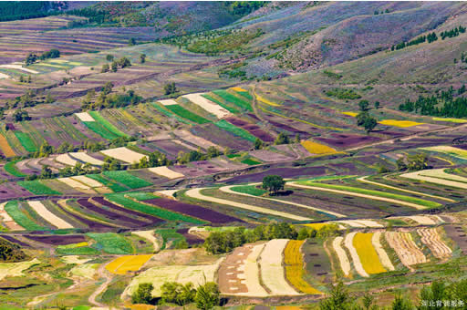 河北背景调查公司的背调流程是怎样的？