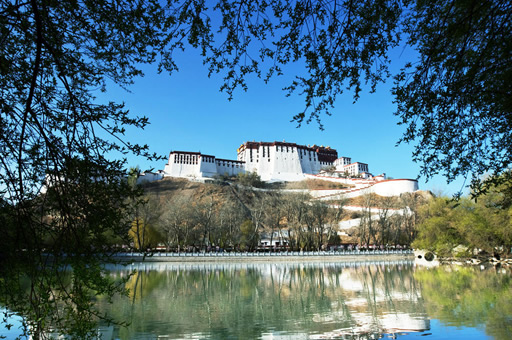 拉萨地区企业为什么要对员工进行背调？