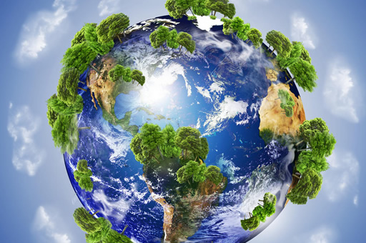 新能源行业背景调查未来会成为求职市场的“标配”吗？